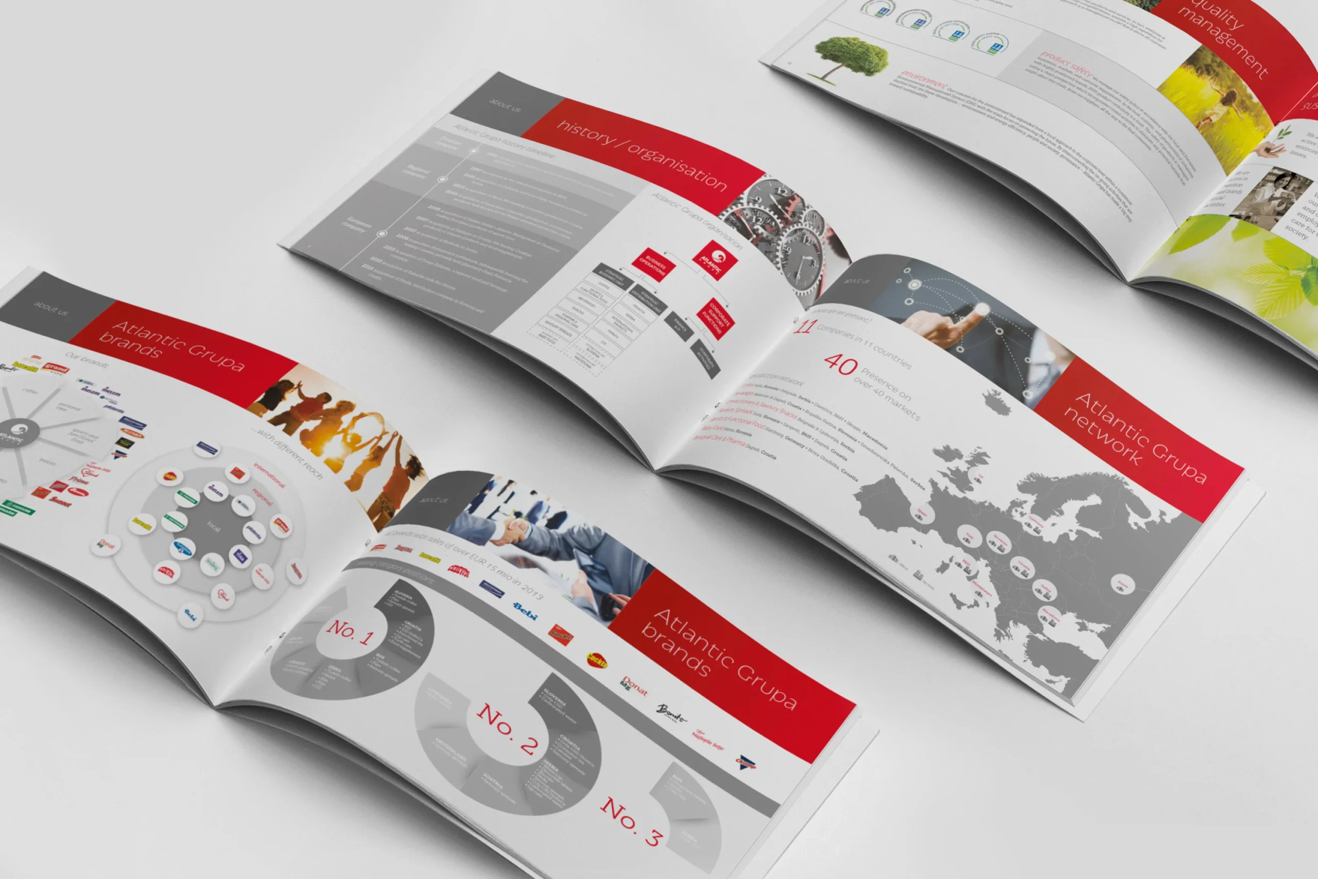 Sanya D Engaging Brochure Design